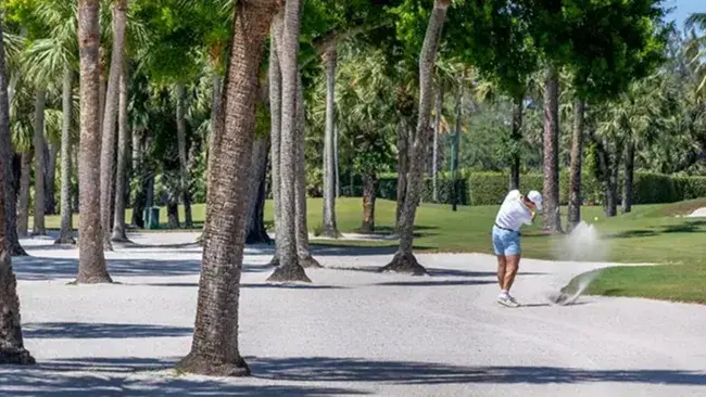 Golf Guide LP 4